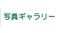 写真ギャラリー