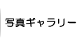 写真ギャラリー